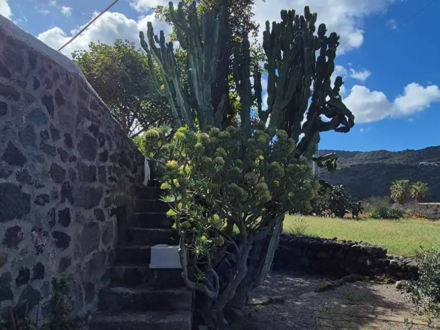 Immagine 13 di Villa in vendita  in Via Lago snc a Pantelleria