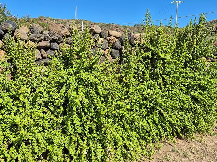 Immagine 49 di Villa in vendita  in Via Lago snc a Pantelleria