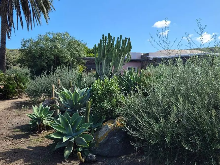 Immagine 4 di Villa in vendita  in Via Lago snc a Pantelleria