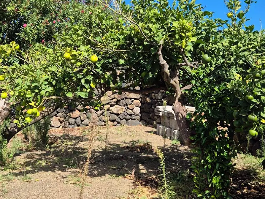 Immagine 48 di Villa in vendita  in Via Lago snc a Pantelleria