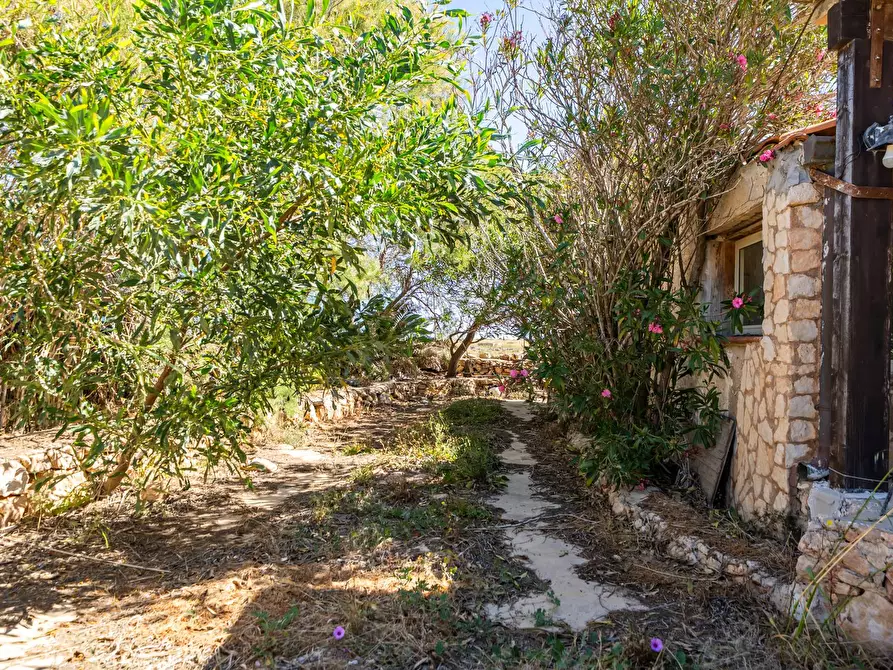 Immagine 12 di Villa in vendita  in Strada di Ponente snc a Lampedusa E Linosa