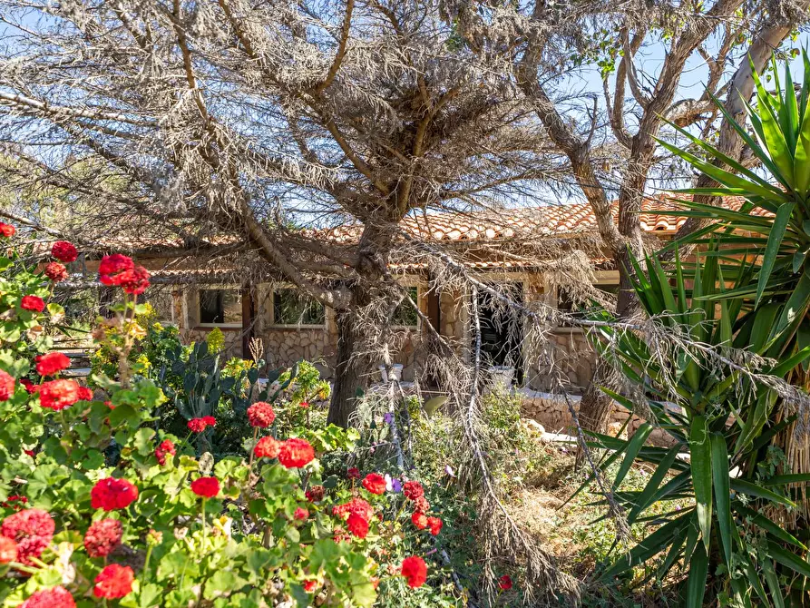 Immagine 18 di Villa in vendita  in Strada di Ponente snc a Lampedusa E Linosa