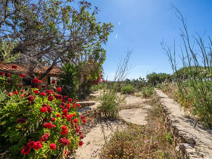 Immagine 19 di Villa in vendita  in Strada di Ponente snc a Lampedusa E Linosa