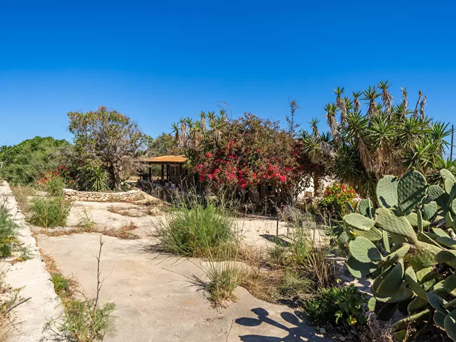 Immagine 20 di Villa in vendita  in Strada di Ponente snc a Lampedusa E Linosa