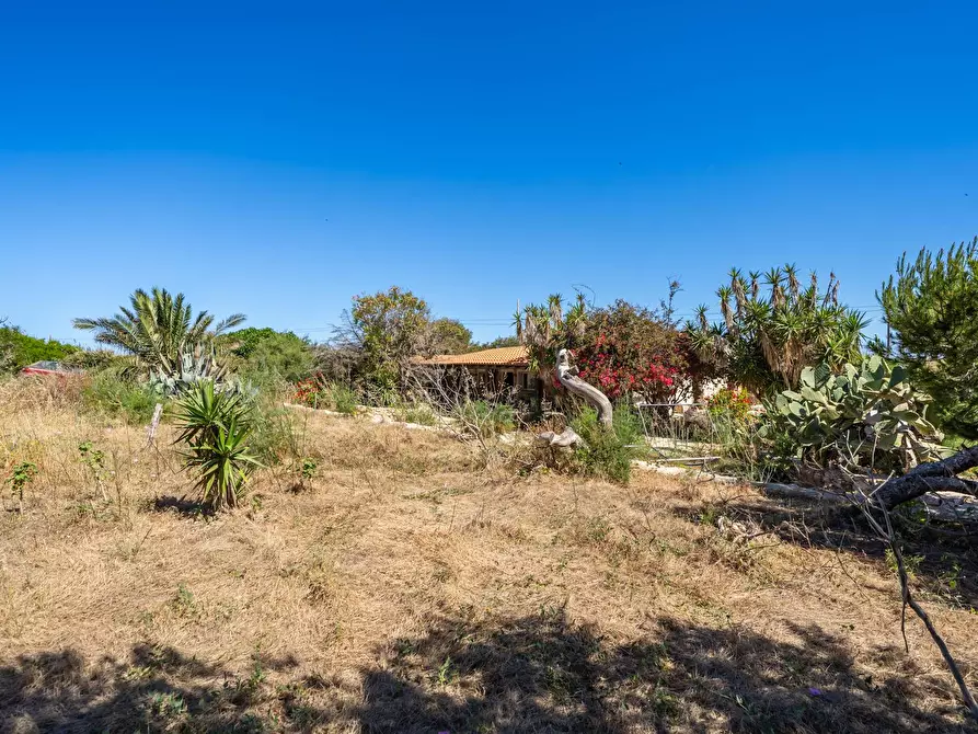 Immagine 21 di Villa in vendita  in Strada di Ponente snc a Lampedusa E Linosa