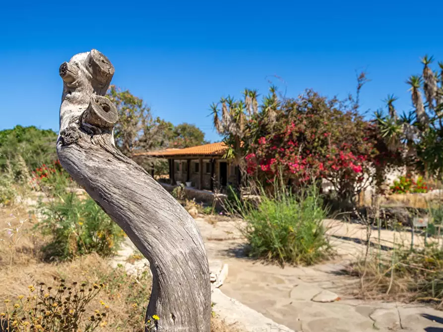 Immagine 22 di Villa in vendita  in Strada di Ponente snc a Lampedusa E Linosa