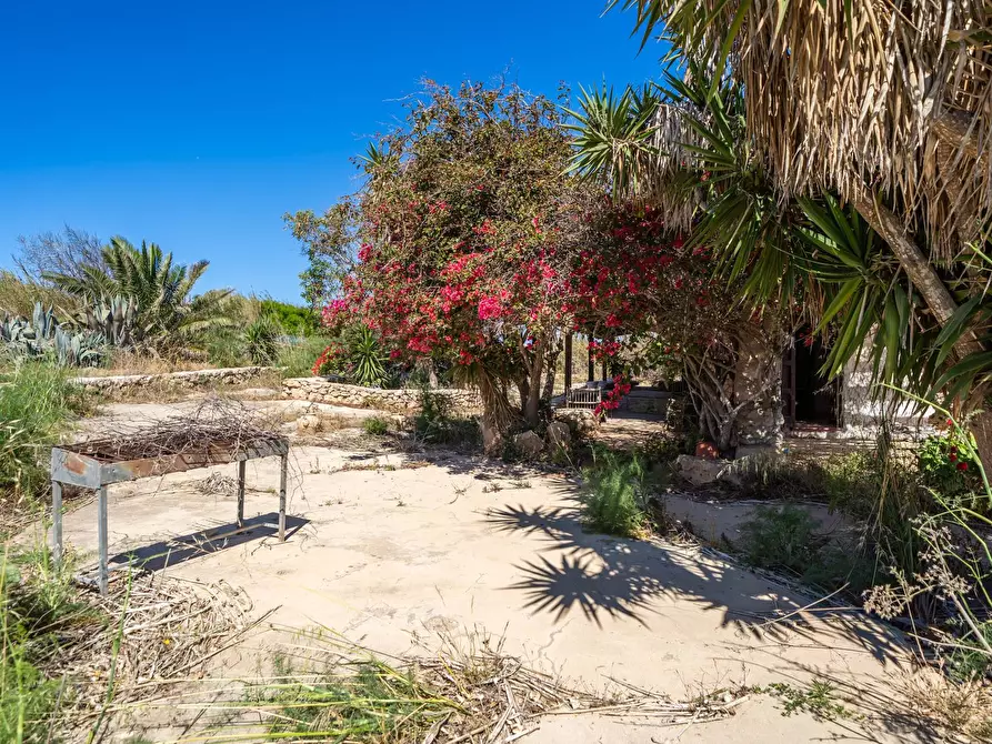 Immagine 23 di Villa in vendita  in Strada di Ponente snc a Lampedusa E Linosa