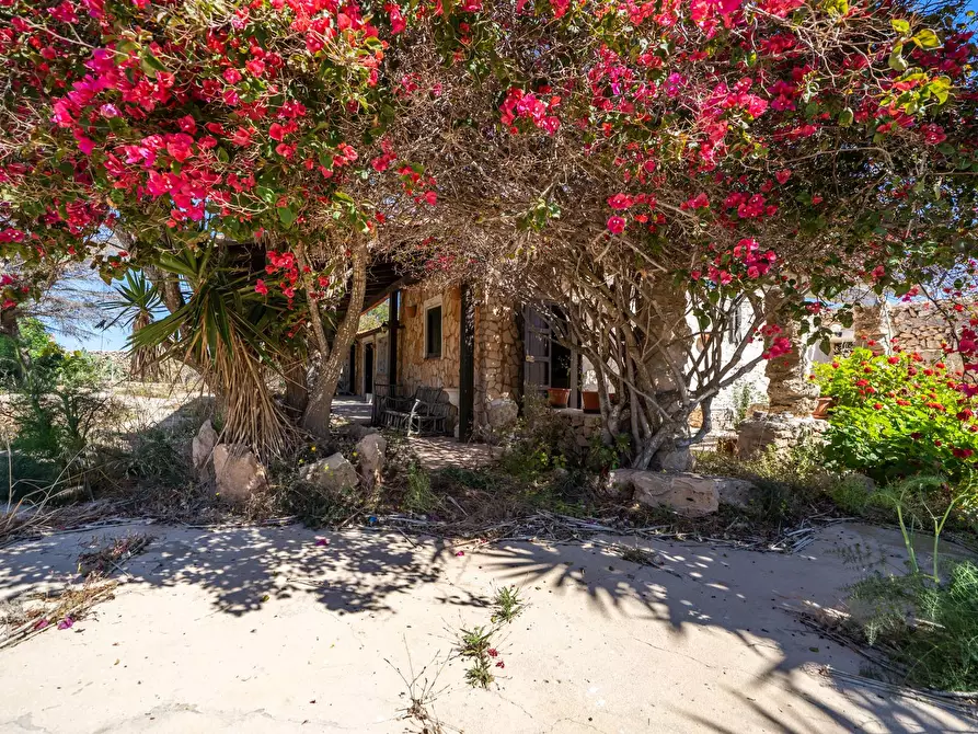 Immagine 24 di Villa in vendita  in Strada di Ponente snc a Lampedusa E Linosa