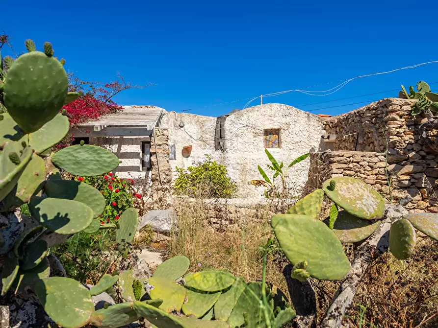 Immagine 25 di Villa in vendita  in Strada di Ponente snc a Lampedusa E Linosa