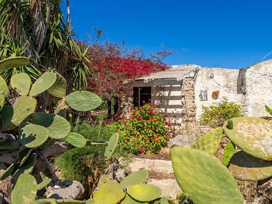 Immagine 26 di Villa in vendita  in Strada di Ponente snc a Lampedusa E Linosa