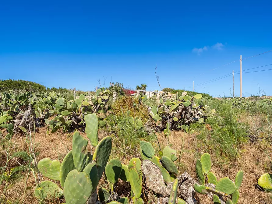 Immagine 35 di Villa in vendita  in Strada di Ponente snc a Lampedusa E Linosa