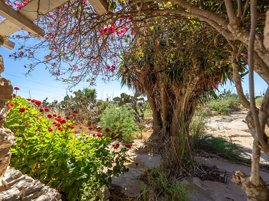 Immagine 43 di Villa in vendita  in Strada di Ponente snc a Lampedusa E Linosa