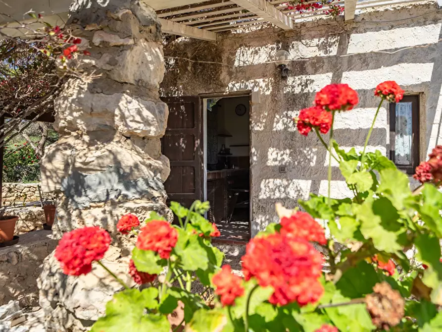 Immagine 44 di Villa in vendita  in Strada di Ponente snc a Lampedusa E Linosa