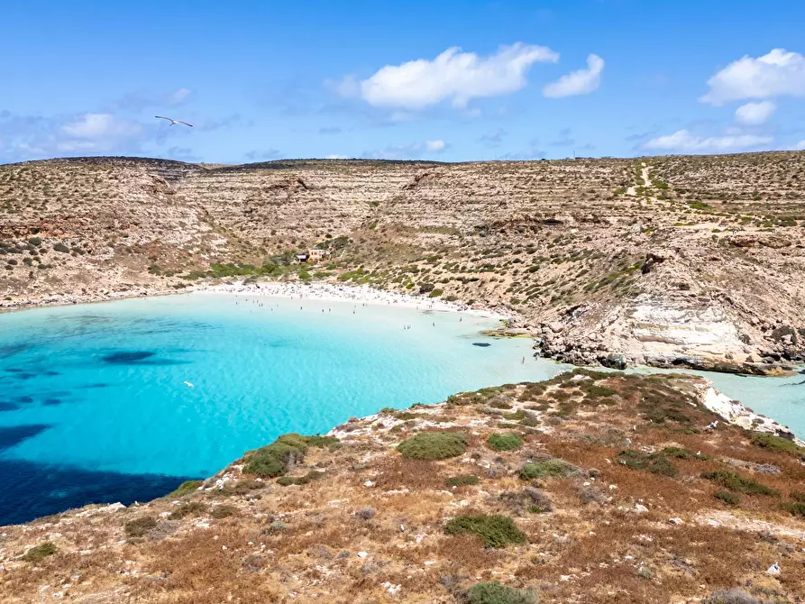 Immagine 102 di Villa in vendita  in Strada di Ponente snc a Lampedusa E Linosa