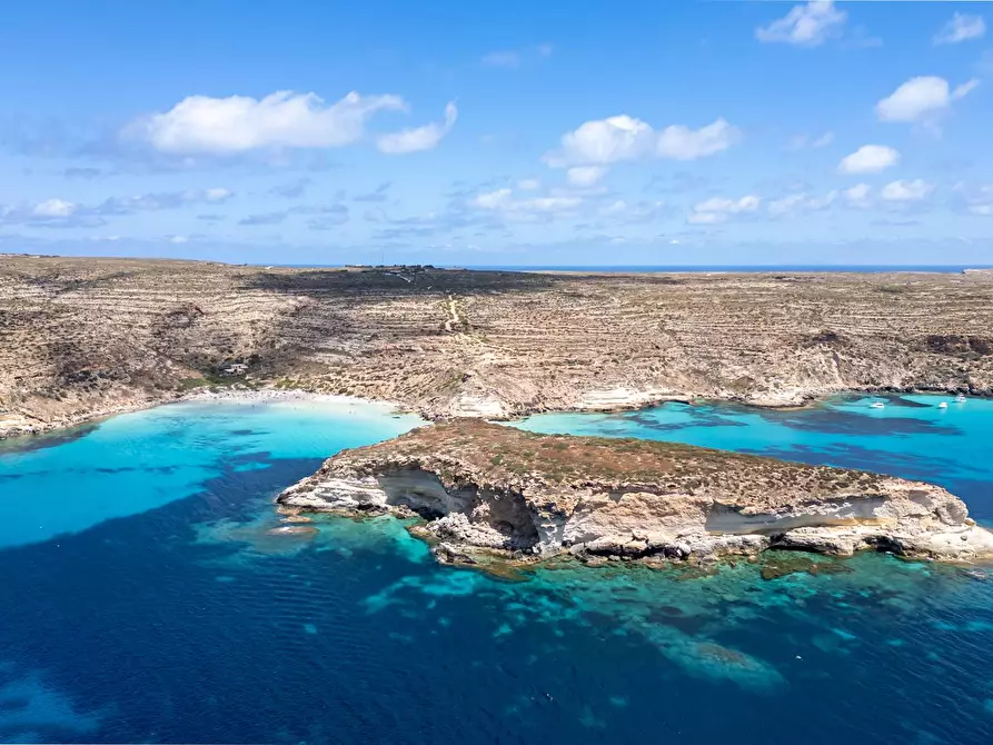 Immagine 104 di Villa in vendita  in Strada di Ponente snc a Lampedusa E Linosa