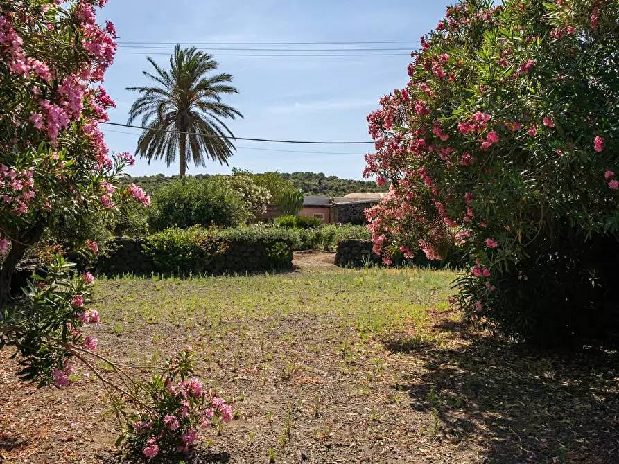 Immagine 3 di Villa in vendita  in Via Lago snc a Pantelleria