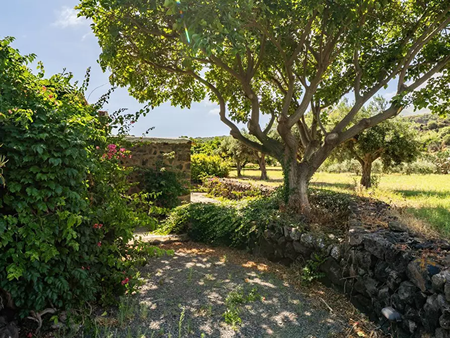 Immagine 28 di Villa in vendita  in Via Lago snc a Pantelleria