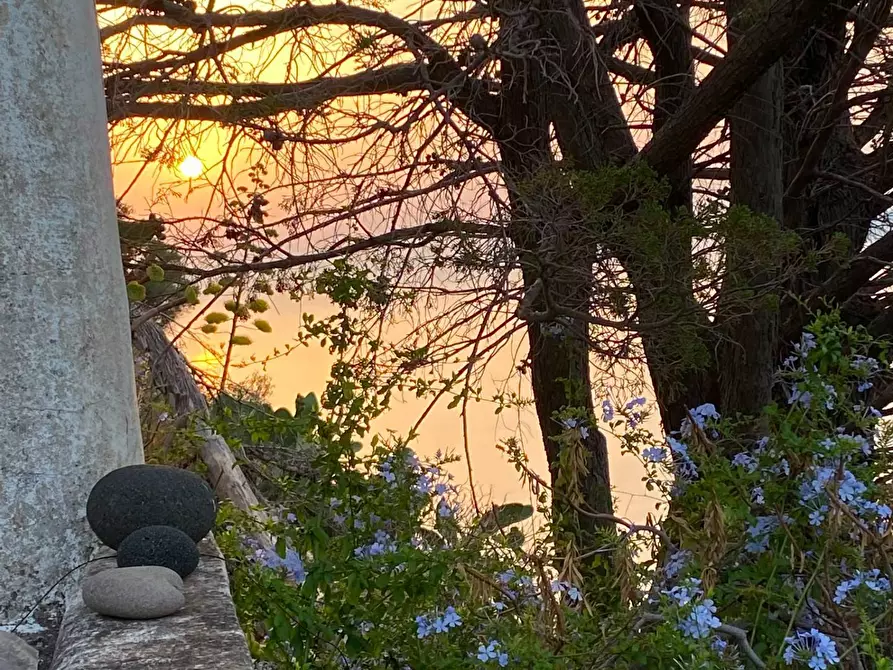 Immagine 30 di Rustico / casale in vendita  in Via Serra di Rando snc a Lipari