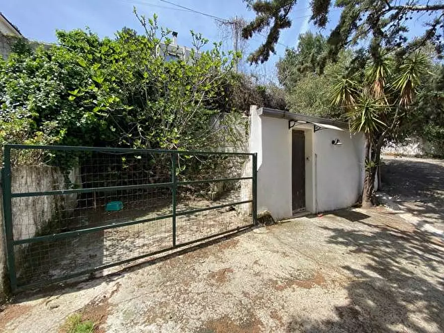 Immagine 36 di Villetta a schiera in affitto  in via Ferrario Rosina 22 a Palermo