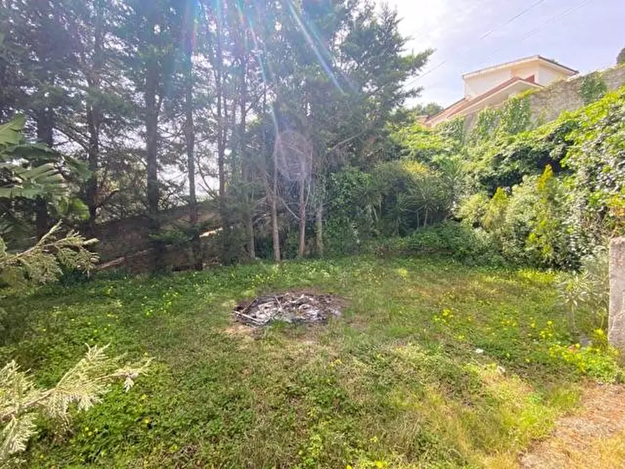 Immagine 38 di Villetta a schiera in affitto  in via Ferrario Rosina 22 a Palermo