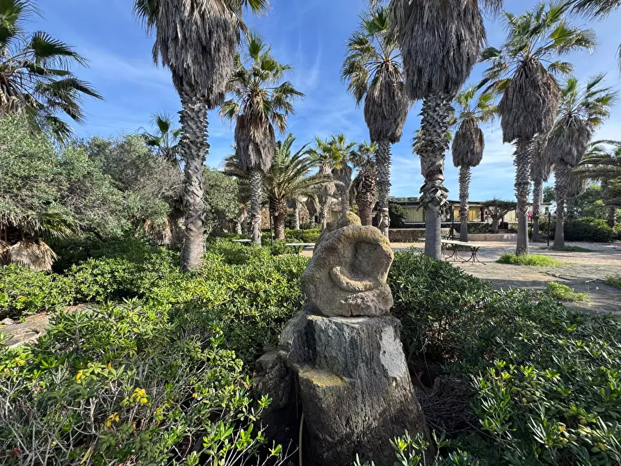 Immagine 20 di Locale commerciale in vendita  in Strada Perimetrale a Pantelleria