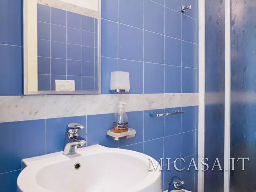 Immagine 18 di Villetta a schiera in vendita  in Viale Del Tirreno 82 a Pisa