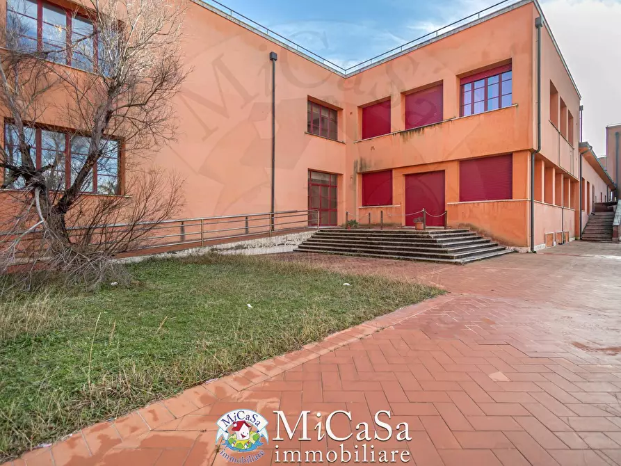 Immagine 14 di Appartamento in vendita  in viale del tirreno 80 a Pisa