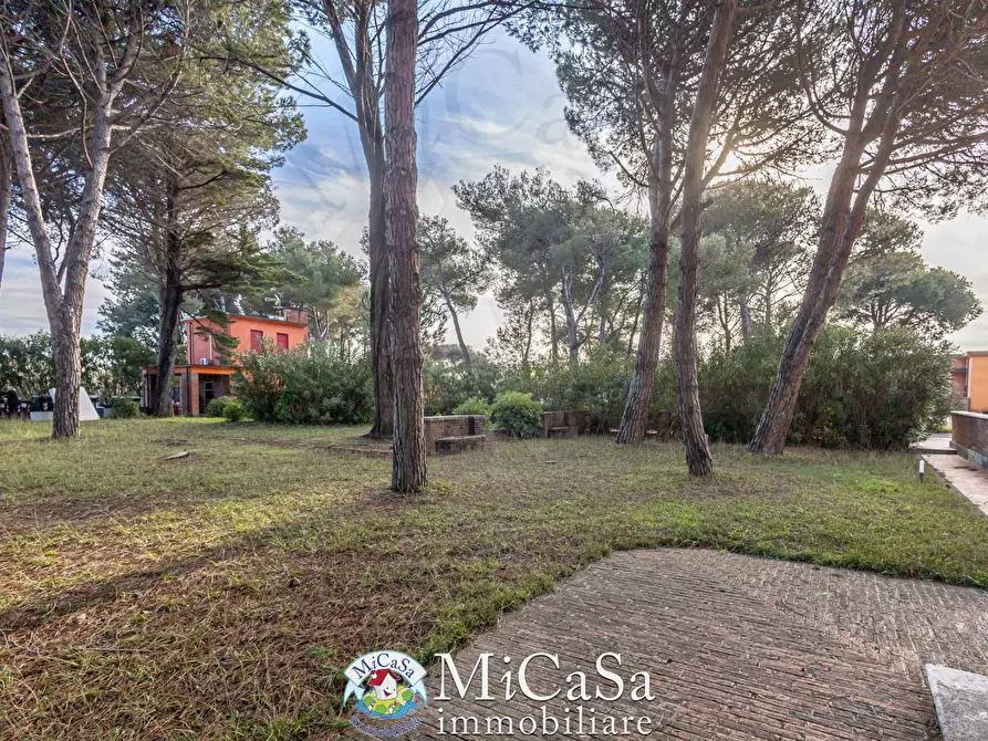 Immagine 23 di Appartamento in vendita  in viale del tirreno 80 a Pisa