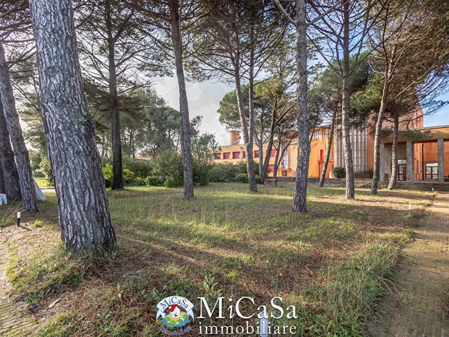 Immagine 24 di Appartamento in vendita  in viale del tirreno 80 a Pisa