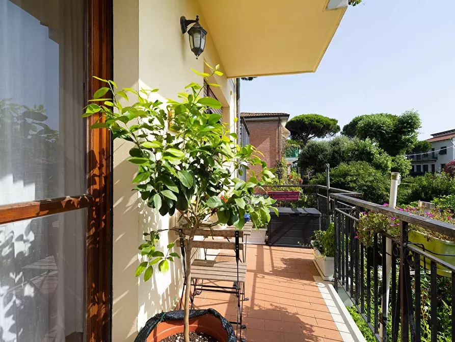 Immagine 8 di Appartamento in vendita  in Via Delle Agavi 68 a Pisa