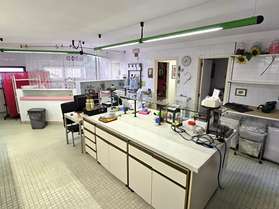 Immagine 33 di Villa in vendita  in Strada Carducci 3/b a Bari