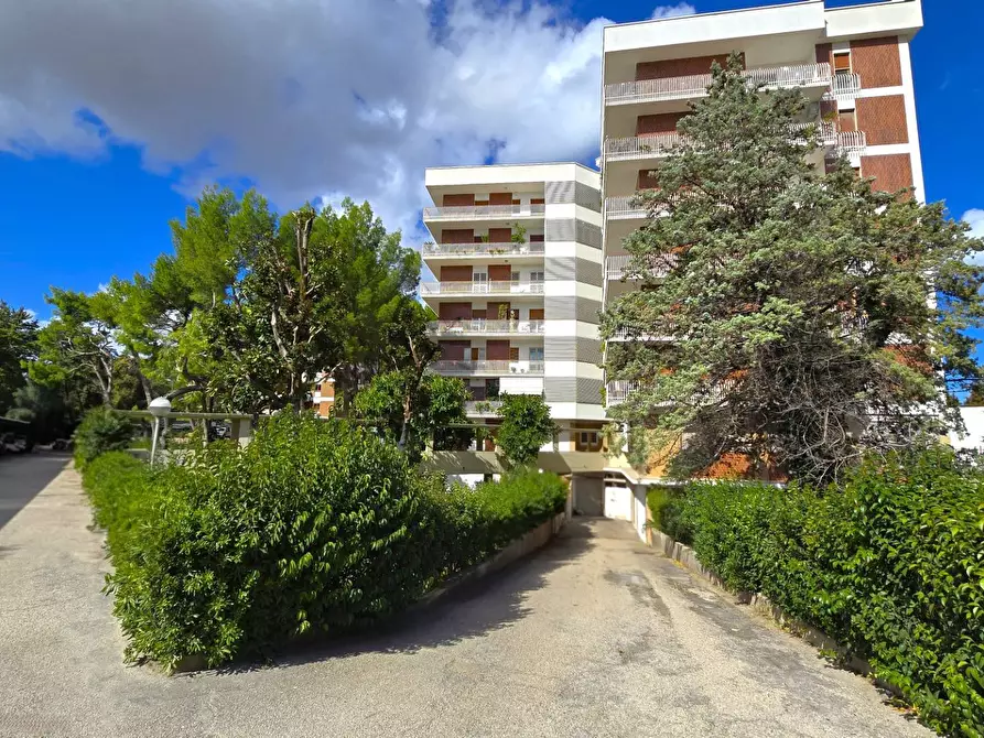 Immagine 2 di Magazzino in vendita  in VIA LUZZATTI 15 a Bari