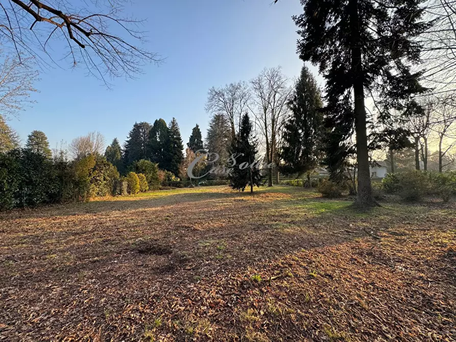 Immagine 2 di Terreno residenziale in vendita  in Strada Privata della Conchiglia a Arosio