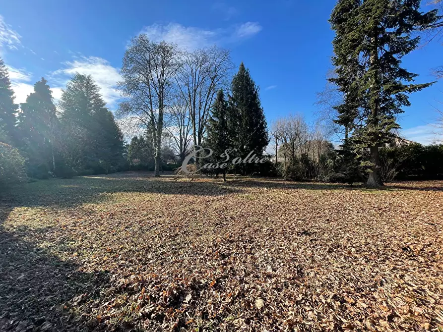 Immagine 4 di Terreno residenziale in vendita  in Strada Privata della Conchiglia a Arosio