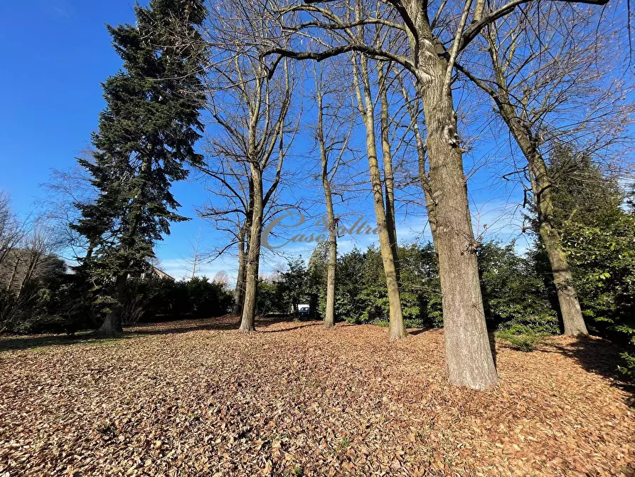 Immagine 5 di Terreno residenziale in vendita  in Strada Privata della Conchiglia a Arosio