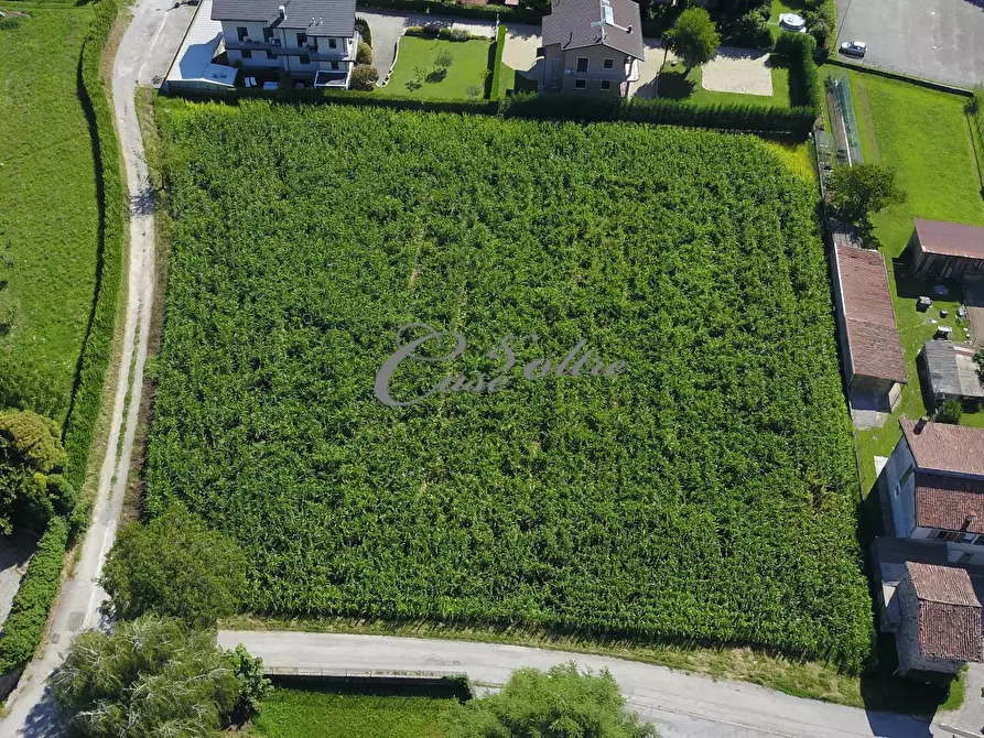 Immagine 6 di Terreno residenziale in vendita  in Via Fontana a Cesate