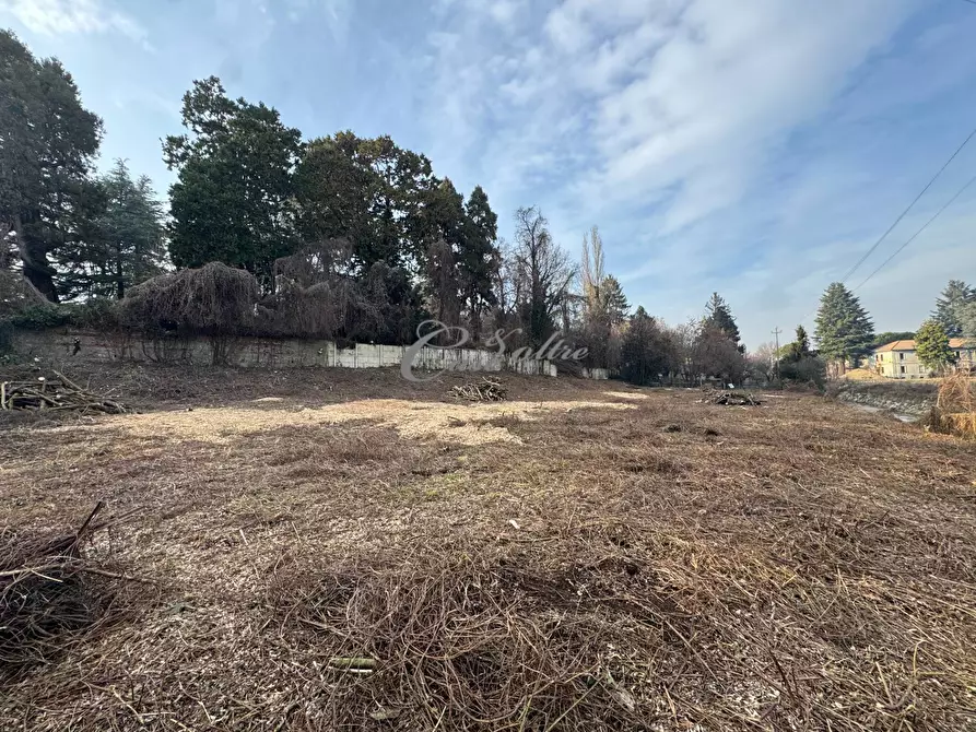 Immagine 2 di Terreno agricolo in vendita  in Via Ersilia Borgazzi a Arosio