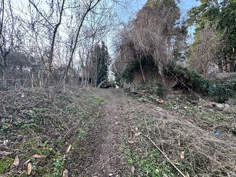 Immagine 6 di Terreno agricolo in vendita  in Via Ersilia Borgazzi a Arosio