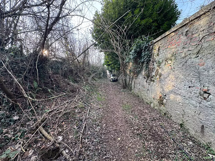 Immagine 7 di Terreno agricolo in vendita  in Via Ersilia Borgazzi a Arosio
