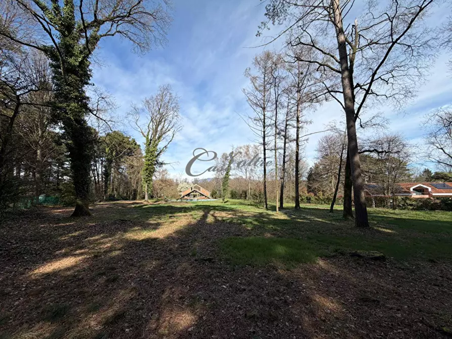 Immagine 5 di Terreno residenziale in vendita  in Via Dei Colli a Solbiate Con Cagno