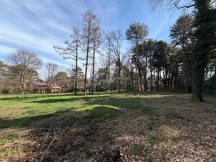 Immagine 4 di Terreno residenziale in vendita  in Via Dei Colli a Solbiate Con Cagno