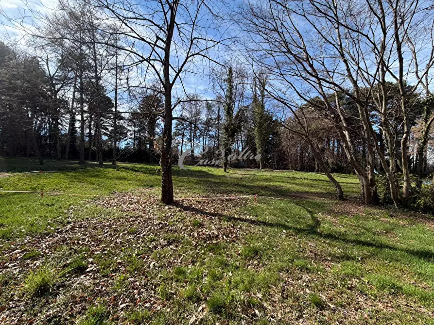 Immagine 13 di Terreno residenziale in vendita  in Via Dei Colli a Solbiate Con Cagno
