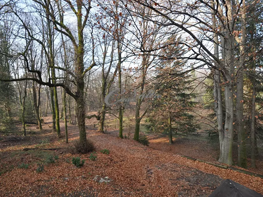 Immagine 5 di Rustico / casale in vendita  in Via Como a Arosio