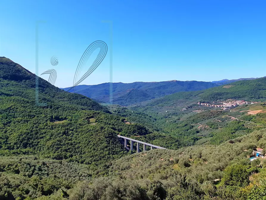 Immagine 13 di Casa indipendente in vendita  in Cesio a Cesio