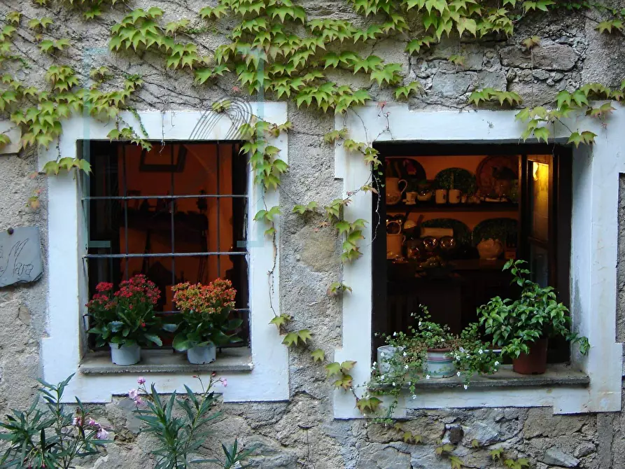 Immagine 53 di Rustico / casale in vendita  in via al castello a Castelvecchio Di Rocca Barbena