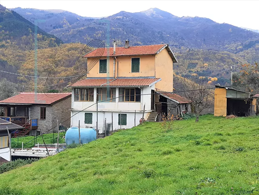 Immagine 2 di Rustico / casale in vendita  in via IV NOVEMBRE a Pornassio