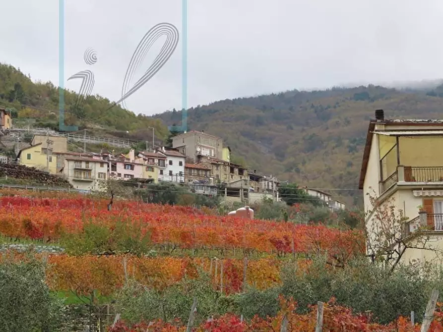 Immagine 44 di Rustico / casale in vendita  in via IV NOVEMBRE a Pornassio