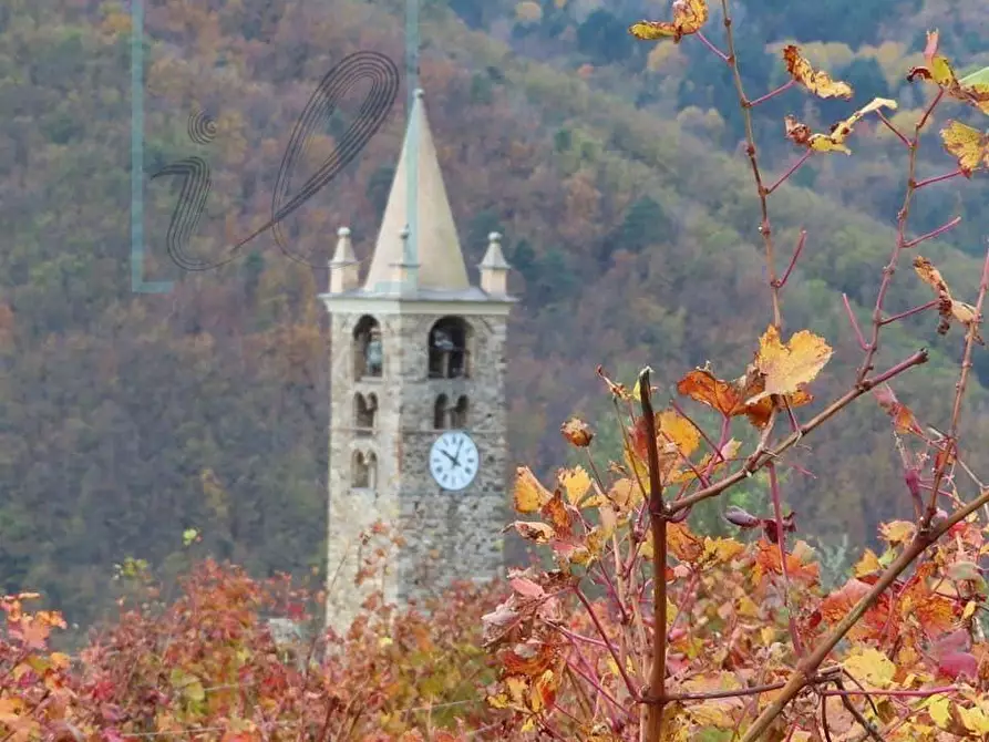Immagine 45 di Rustico / casale in vendita  in via IV NOVEMBRE a Pornassio