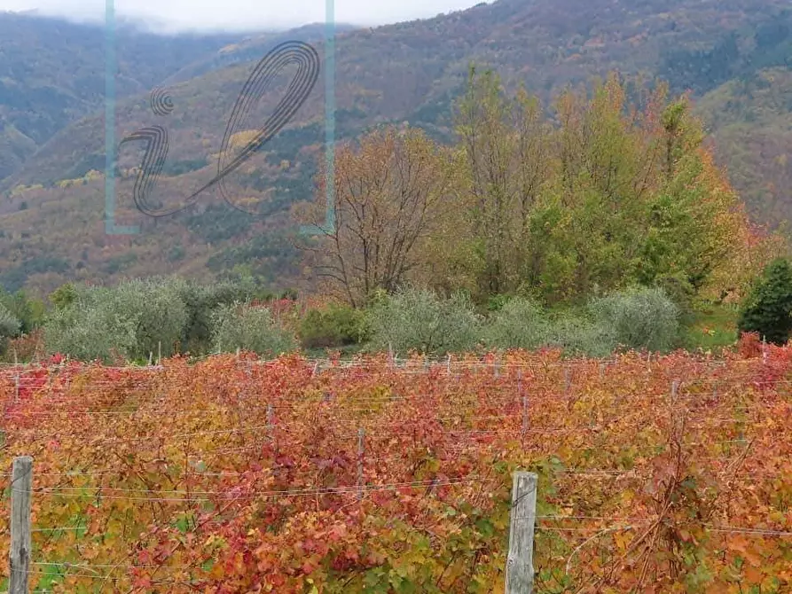 Immagine 46 di Rustico / casale in vendita  in via IV NOVEMBRE a Pornassio