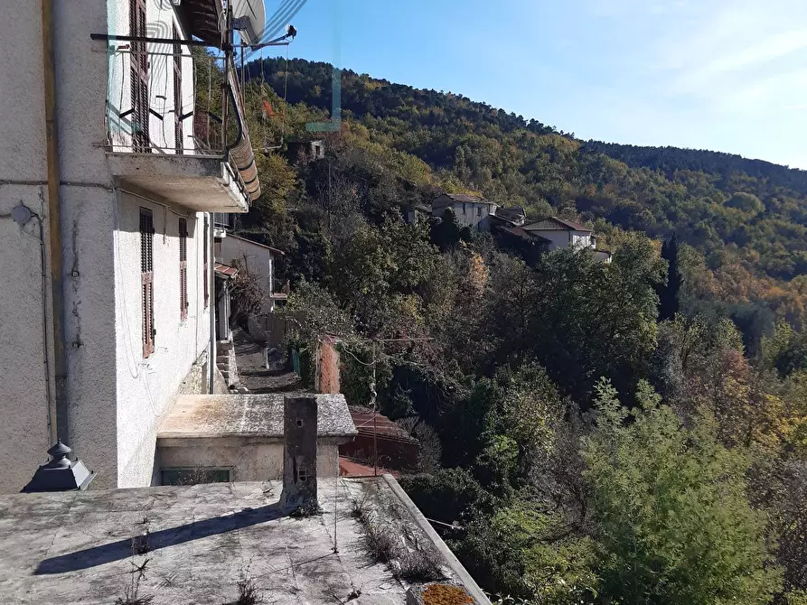 Immagine 51 di Rustico / casale in vendita  in borgata salina a Aquila D'arroscia